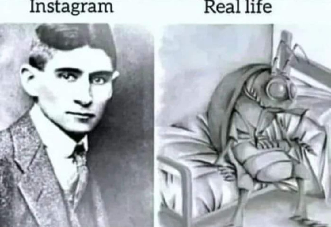 philosophymeme0's tweet photo. https://t.co/cRZUiH0xaL