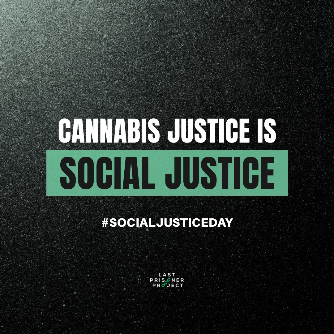 CeresMED tweet media