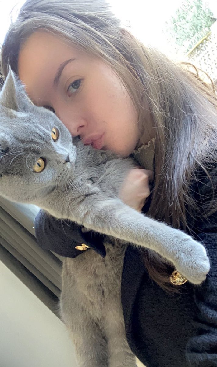 Steffiesnoerenn's tweet photo. My lovely 🐱 https://t.co/WCZPFzEqy2