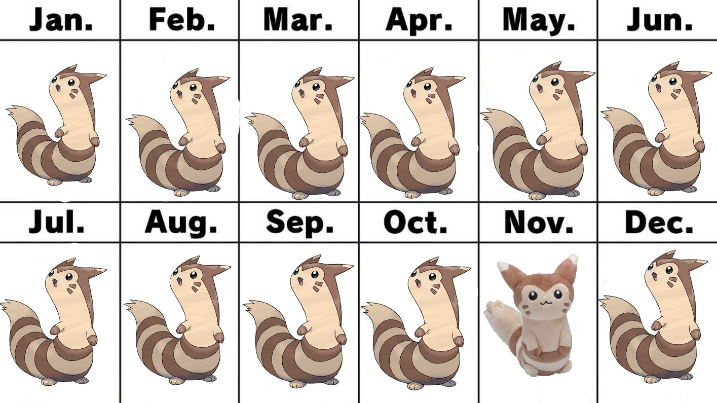 Furret size store