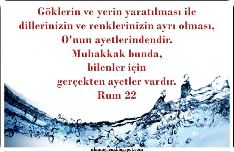 Ensr123's tweet photo. #evlenmeyin #hakanUral #BirÖğretmenDahaÖldü #MaskehesZulmüneSon #migrosagitmiyoruz #tslmyt https://t.co/zBwip2C4Ju