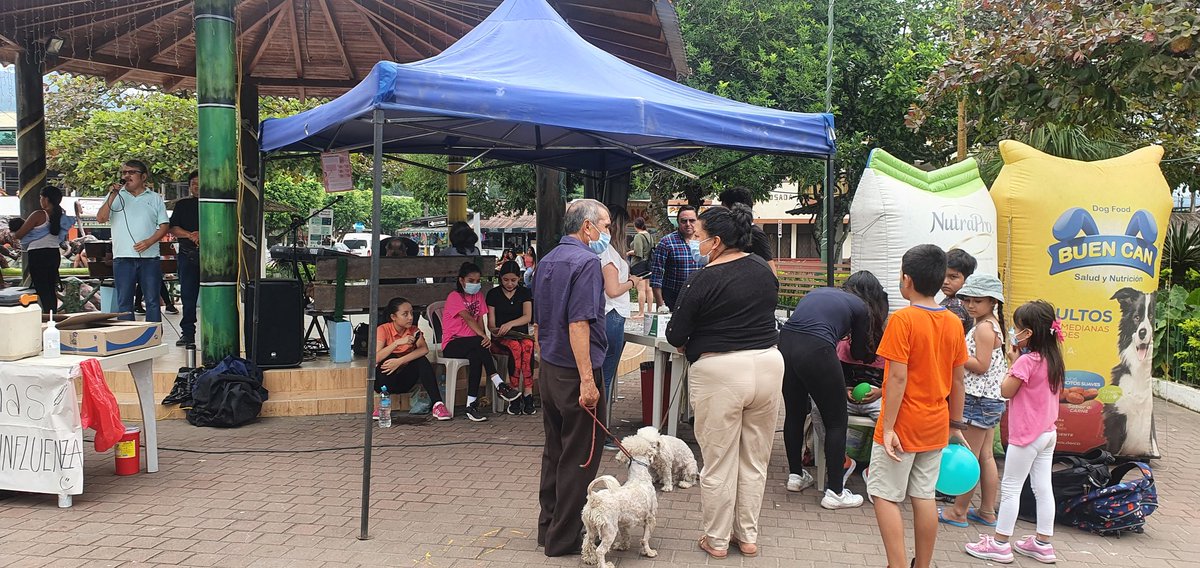 Rodrigo_AcostaM's tweet photo. #FaunaUrbana Jornada de Vitaminización y desparacitación en Puerto #Misahuallí, responsabilidad con nuestras mascotas. https://t.co/toEK8EOZTX