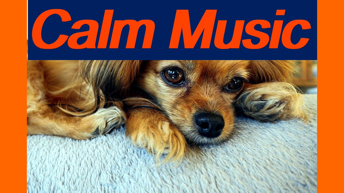 Melancholic Calm BACKGROUND MUSIC
pond5.com/ru/royalty-fre…

#Melancholic #sad #relaxation #meditation #yogapractice #music #massagesalon #beautiful #movies #beauty #SaloneTwitter #Dancer #films #Shorts #backgroundmusic #CalmDown #news #twitch