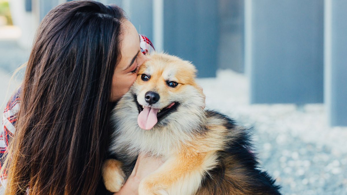 BuddyVpets's tweet photo. Today is National Love Your Pet Day!

We know you love them every day but just give them a little something extra today. ❤️

#loveyourpetday #NationalLoveYourPetDay https://t.co/d3jXTHmtl7