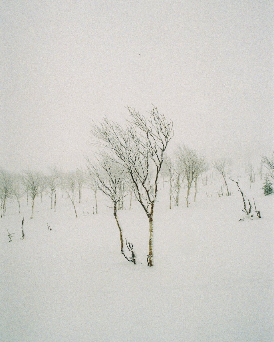 kamvachonn's tweet image. The Canadian Winter, on film 🎞