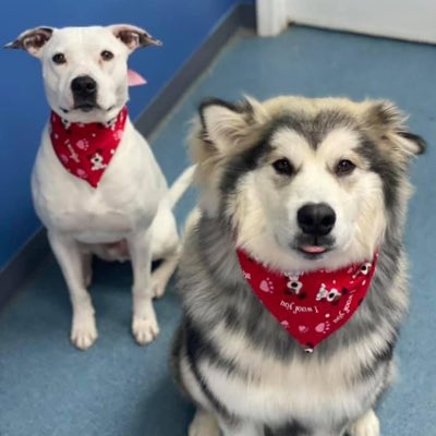 kwv2009's tweet image. #NewProfilePic