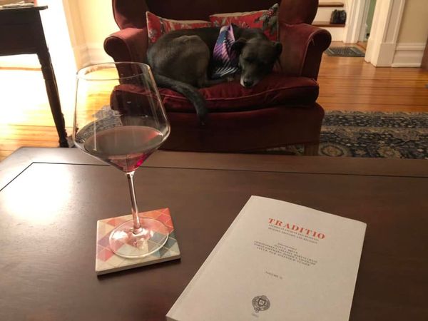 Traditio tweet media