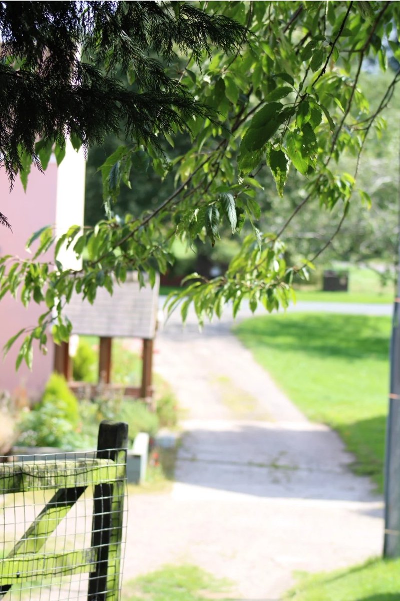 BevVoice's tweet image. What an amazing virtual yoga session at Rose Farm @wellness_cic
Thank you to the amazing @monmorley and the super @mariagraymg 
The perfect way to start the weekend! x