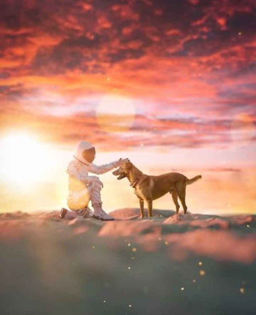 HaikuJAM tweet media