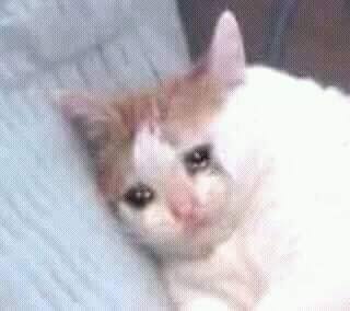 NewAngel_Ni's tweet photo. @VliveAlarm JAJAJAJA AAAAAAAAYYYY POR QUE RECIEN ME SALE LA NOTIFICACIÓN PTMR https://t.co/zzhIBtt3sf