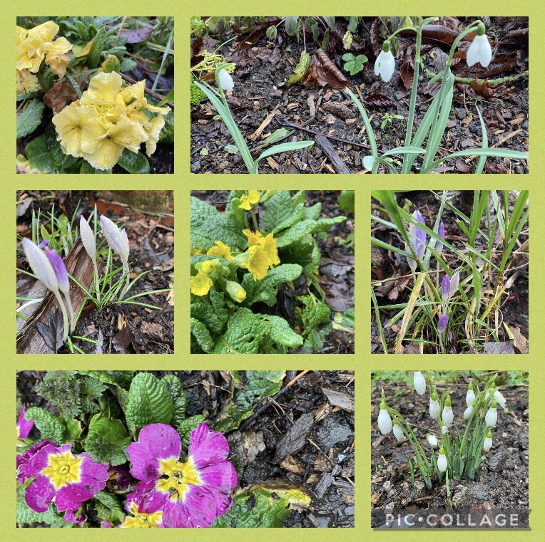 #sevenonsunday Signs of spring around the Nature Centre today. The weather might be grim but there’s hope for warmer days ahead
<a href="/FriendsDebdale/">Friends of Debdale Park</a> <a href="/TamesideWildli1/">Tameside's People 4 Wildlife</a> <a href="/visit_mcr/">Visit Manchester</a>