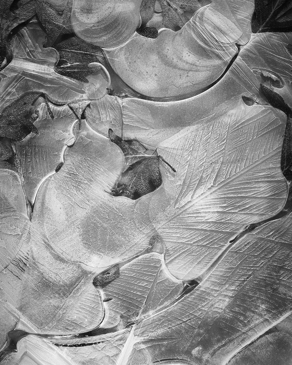 dizon_jude_'s tweet image. Encapsulate pt.3. Final image with a conversion in the mini series. #CaptureTheLight #icepatterns #contemporary #blackandwhite #photography