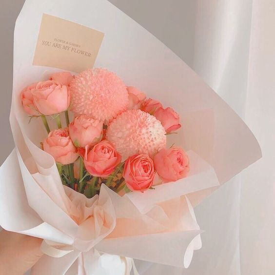 lavieestbelIe's tweet photo. https://t.co/cGlZlHtTkM