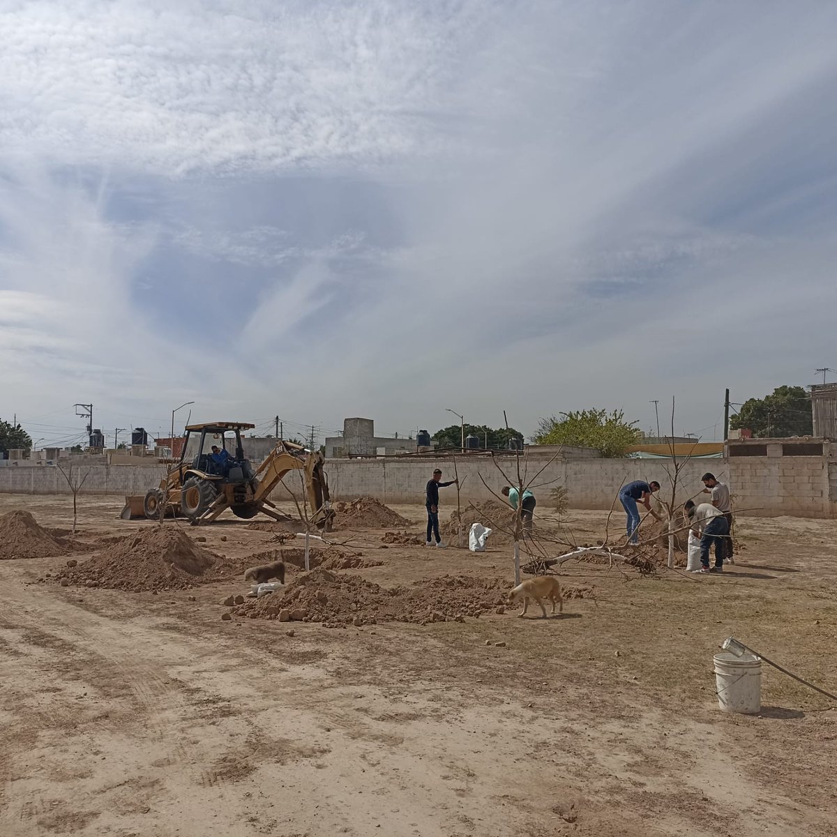CP_BOTS's tweet photo. El día de ayer parte del equipo formo parte de la campaña de reforestacion en el patronato del padre rigo. La actividad fue llevada con apoyo del patronato, alumnos que realizan su servicio social y miembros del equipo CP-BOTS.
#cpbots #fightingspirit https://t.co/Xe9Ntr0vMz
