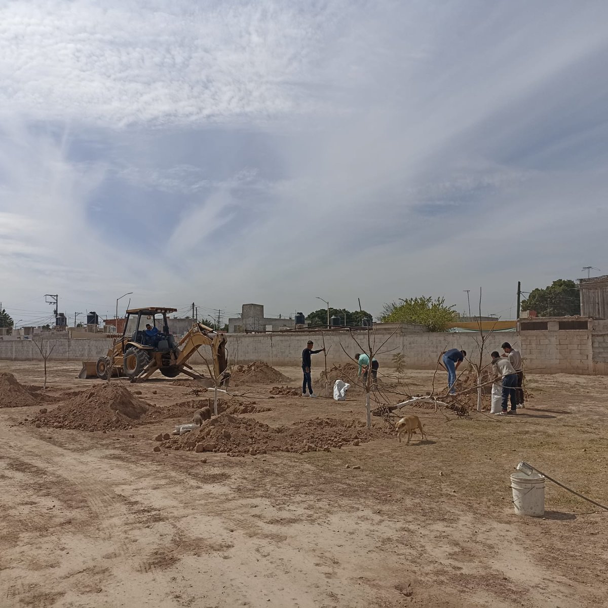 CP_BOTS's tweet photo. El día de ayer parte del equipo formo parte de la campaña de reforestacion en el patronato del padre rigo. La actividad fue llevada con apoyo del patronato, alumnos que realizan su servicio social y miembros del equipo CP-BOTS.
#cpbots #fightingspirit https://t.co/Xe9Ntr0vMz
