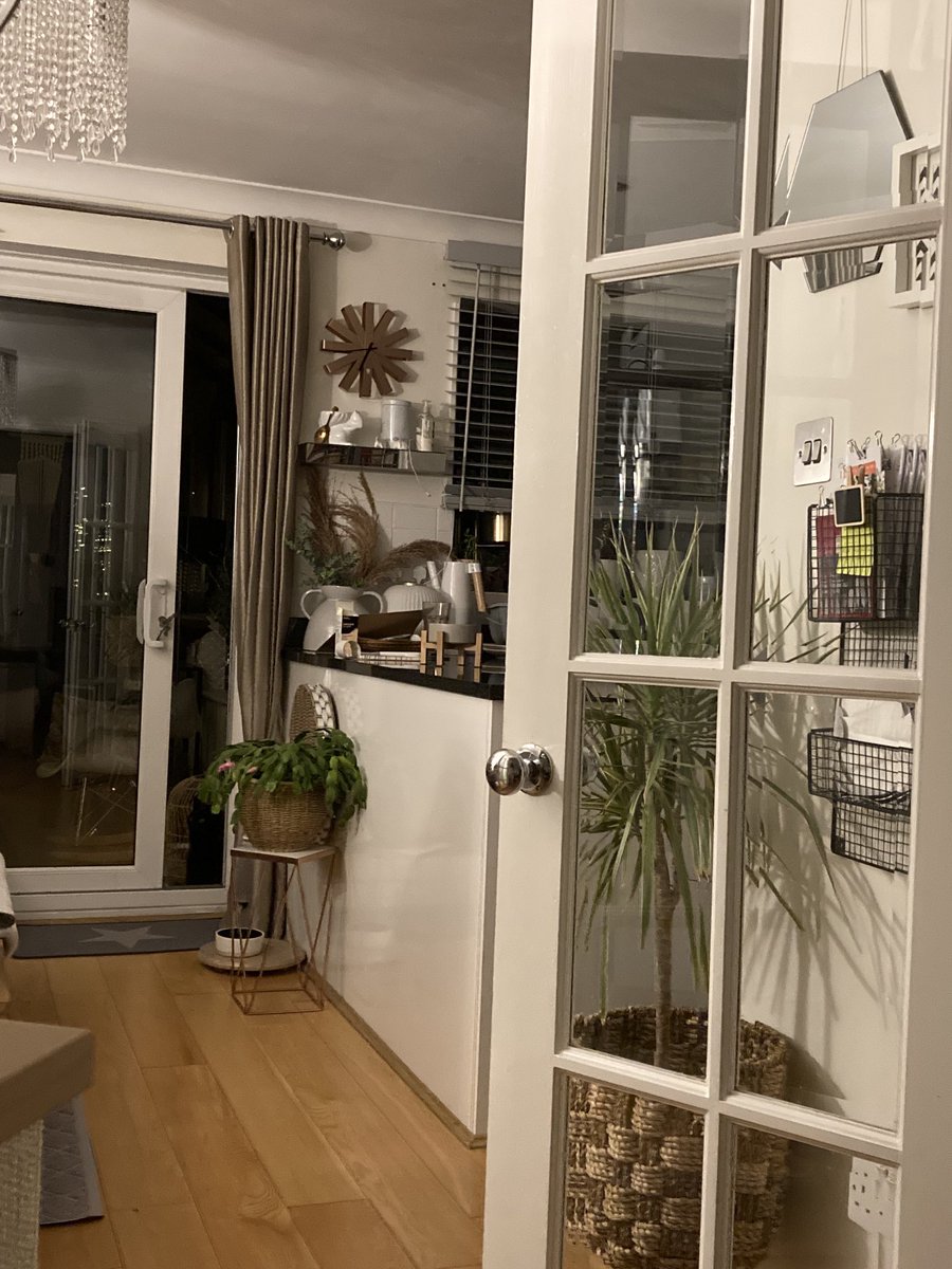 There is no cat in this image (@thereisnocat_) on Twitter photo 