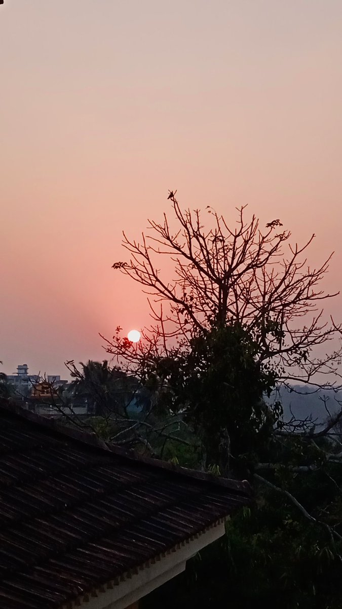 Mukammanaveen's tweet photo. अब मैं सूरज को डूबने नहीं दूँगा!
देखो मैंने कंधे चौड़े कर लिए हैं
मुठ्ठियाॅं मजबूत कर ली हैं
और ढलान पर 
एड़ियाॅं जमाकर खड़ा होना 
मैंने सीख लिया है.

- सर्वेश्वर दयाल सक्सेना https://t.co/P8KGm1bCNl