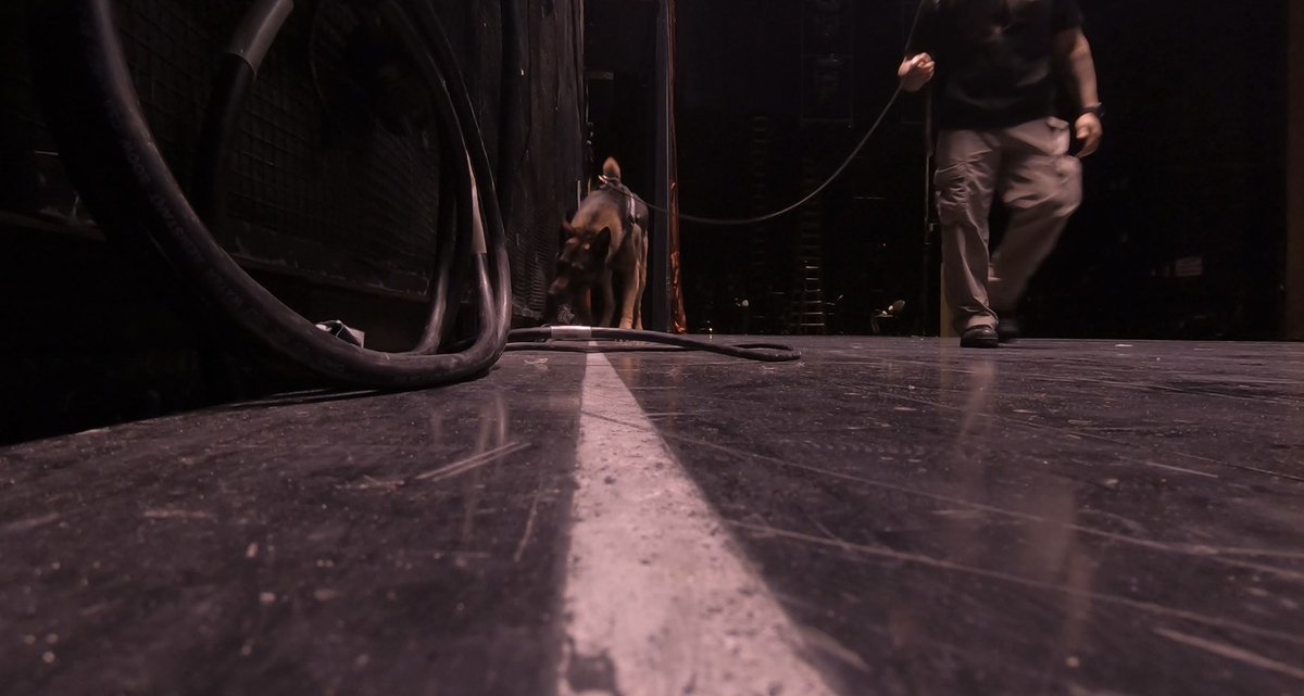 VisscherWesley's tweet photo. There are a lot of events in Las Vegas. The Explosive Detection Dog teams search the areas before an event starts. Detect to protect #k9 #workingdogs #security #securitycheck #casino #malinois #k9unit #explosivedetectiondog #sifd @Scentimprint https://t.co/64saNWg5xb