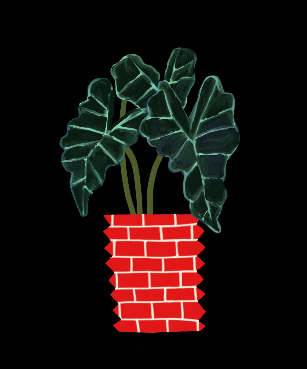 christielibera's tweet photo. 010 / Brick House / Vessels 🧱
#WomenInNFTs #NFTartist on @opensea https://t.co/1NPdtE8l3o