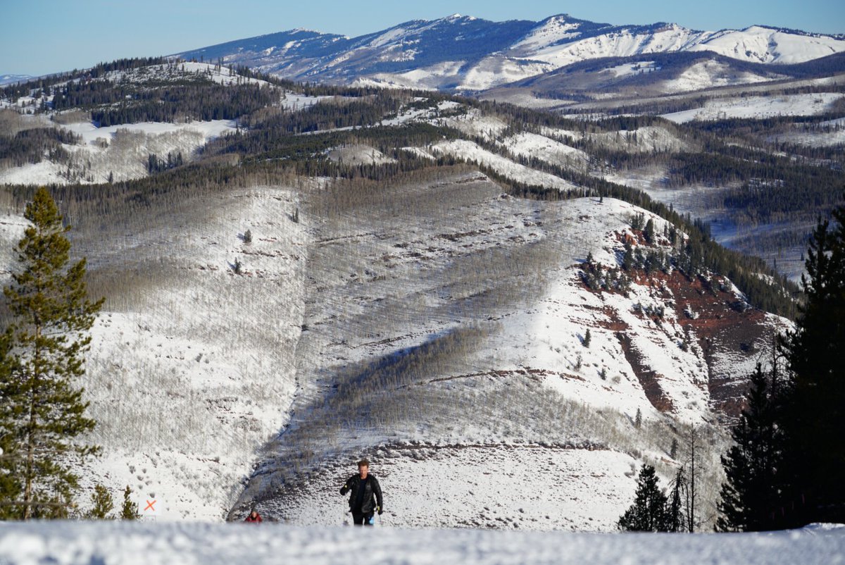 ATRA 🏃‍♂️ 🇺🇲 🏃 tweet media