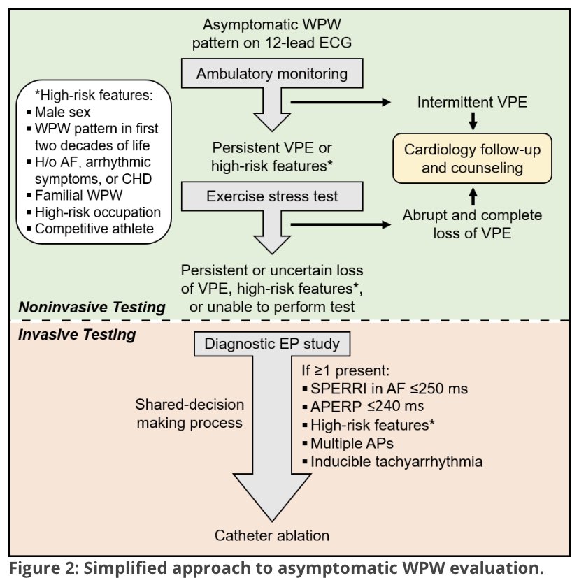 Jeff Hsu, MD, PhD (@jeffhsumd) on Twitter photo New on <a href="/ACCinTouch/">American College of Cardiology</a> #SportsCardio:
Asymptomatic Ventricular Preexcitation (Wolff-Parkinson-White Pattern #WPW): When to Be Concerned
🔹Risk stratification
🔹Non-invasive & Invasive Testing
🔹Catheter Ablation
Read Expert Analysis by <a href="/TheRhythmDoc/">Gurukripa Kowlgi, MD, MS</a> et al
acc.org/Latest-in-Card… New on <a href="/ACCinTouch/">American College of Cardiology</a> #SportsCardio:
Asymptomatic Ventricular Preexcitation (Wolff-Parkinson-White Pattern #WPW): When to Be Concerned
🔹Risk stratification
🔹Non-invasive & Invasive Testing
🔹Catheter Ablation
Read Expert Analysis by <a href="/TheRhythmDoc/">Gurukripa Kowlgi, MD, MS</a> et al
acc.org/Latest-in-Card…