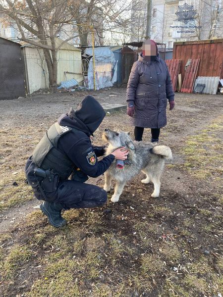 🐕 Not all #animals have safe, happy homes on #LoveYourPetDay - but they're one step closer when people show compassion and kindness. 🐾
🇺🇦 This week, police in Bila Tserkva, #Ukraine, used a shovel to dig a #dog out from under a car. We hope he finds a loving home soon. ❤️