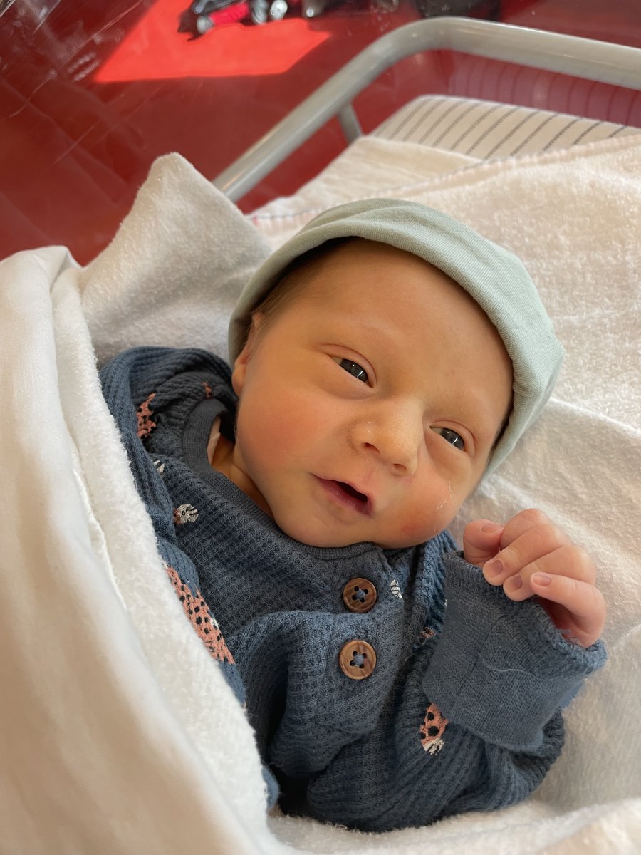 Nelleke Poorthuis tweet media