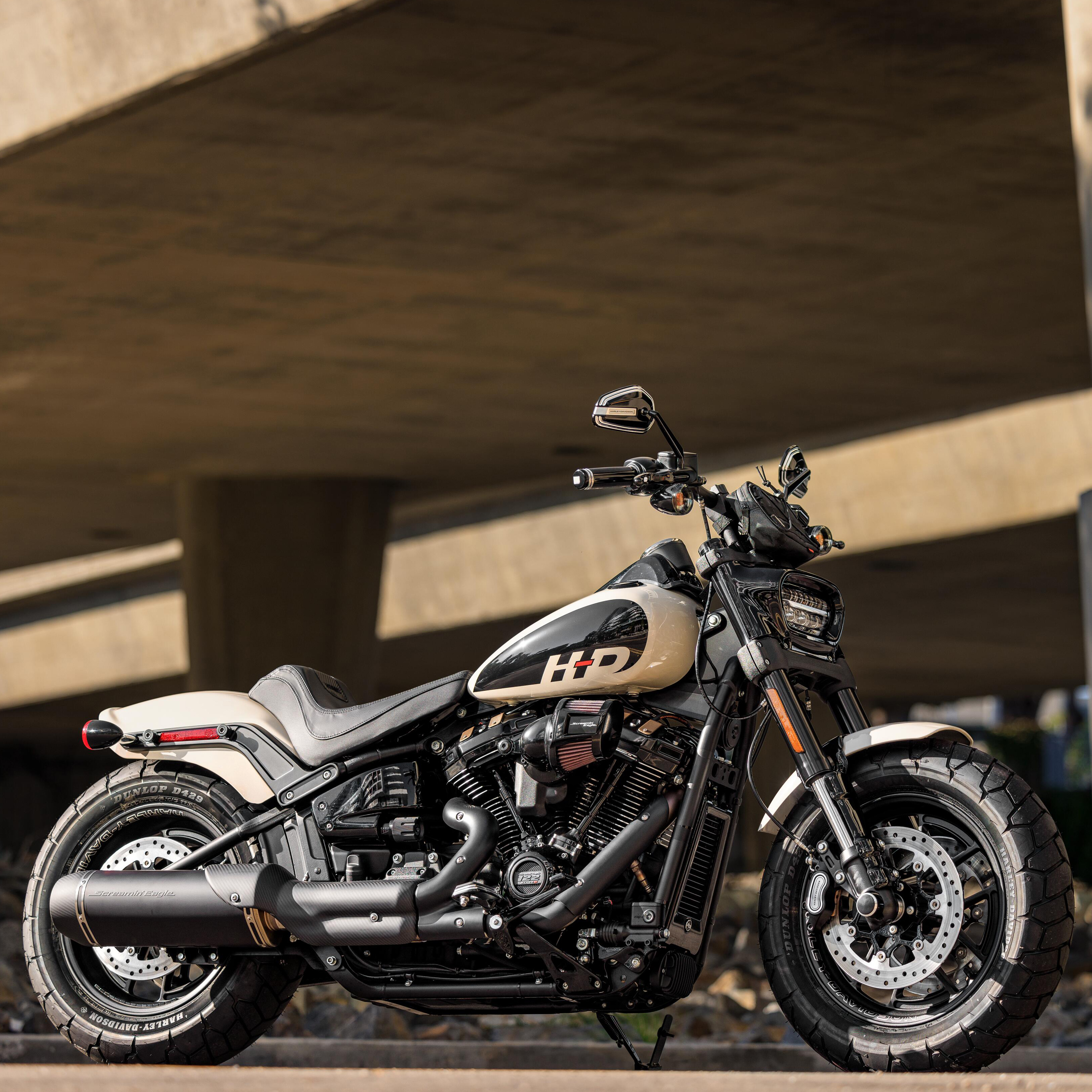Harley fat best sale bob custom parts