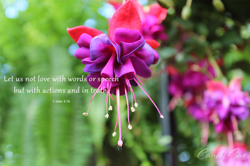CandySueC's tweet photo. I have always believed that love is shown through our actions just not our words. 

#inspiration #inspirationalquotes #bible #love #photography #photographer #csphotonc #csphotography  #picofday #photooftheday #csphotography #csphotgraphync #csphotgraphy_tc https://t.co/Q0WNTjIWKV