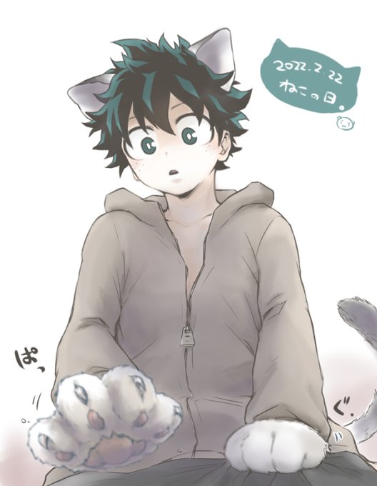 明日は猫の日ー🐱!なので猫デク('・ω・) 