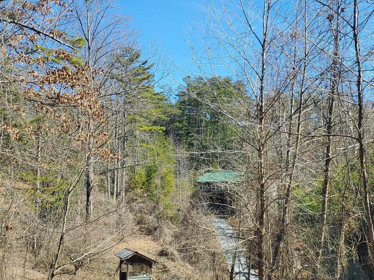 WEB姉貴 webemez VSINGER 🧀 🎀 ENVTUBER BIRTHDAY tweet media