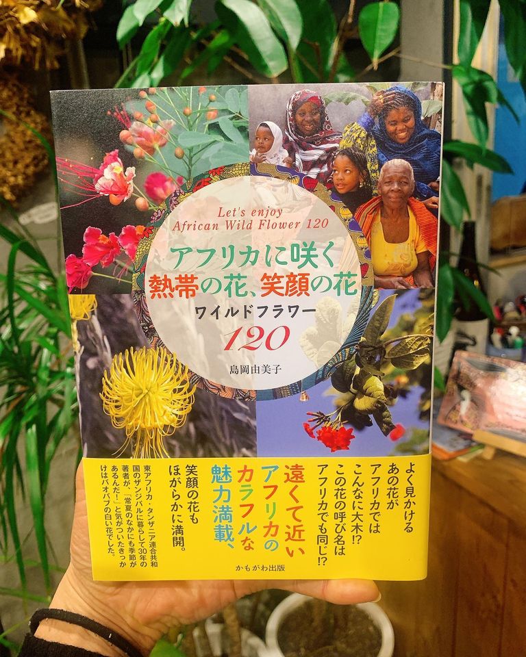 しまおかゆみこ アフリカに咲く熱帯の花 バラカタンザニア アフリカの民話 Yumikoshimaoka Twitter