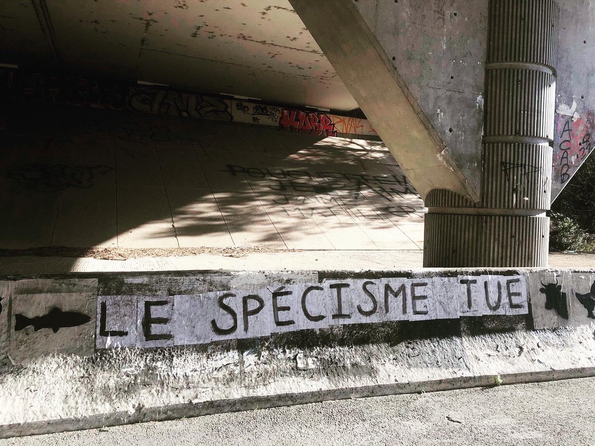 CollAnimalistes's tweet photo. 📍Gard

SPECIESISM KILLS

(Source anonyme)

#Collages #Animaliste #Specisme #Oppression #Injustice https://t.co/XqpyHTWx70