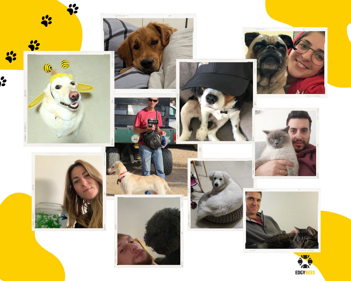 Edgybees's tweet photo. It's National Love Your Pet Day, and we appreciate the value our pets add to our lives. Lucky for us, our hybrid work model enables Edgybees employees to spend extra time with their pets, even during Zoom meetings.
#NationalPetDay #LoveYourPetDay #Techteam #LifeofPets https://t.co/j2MQGp7pRh