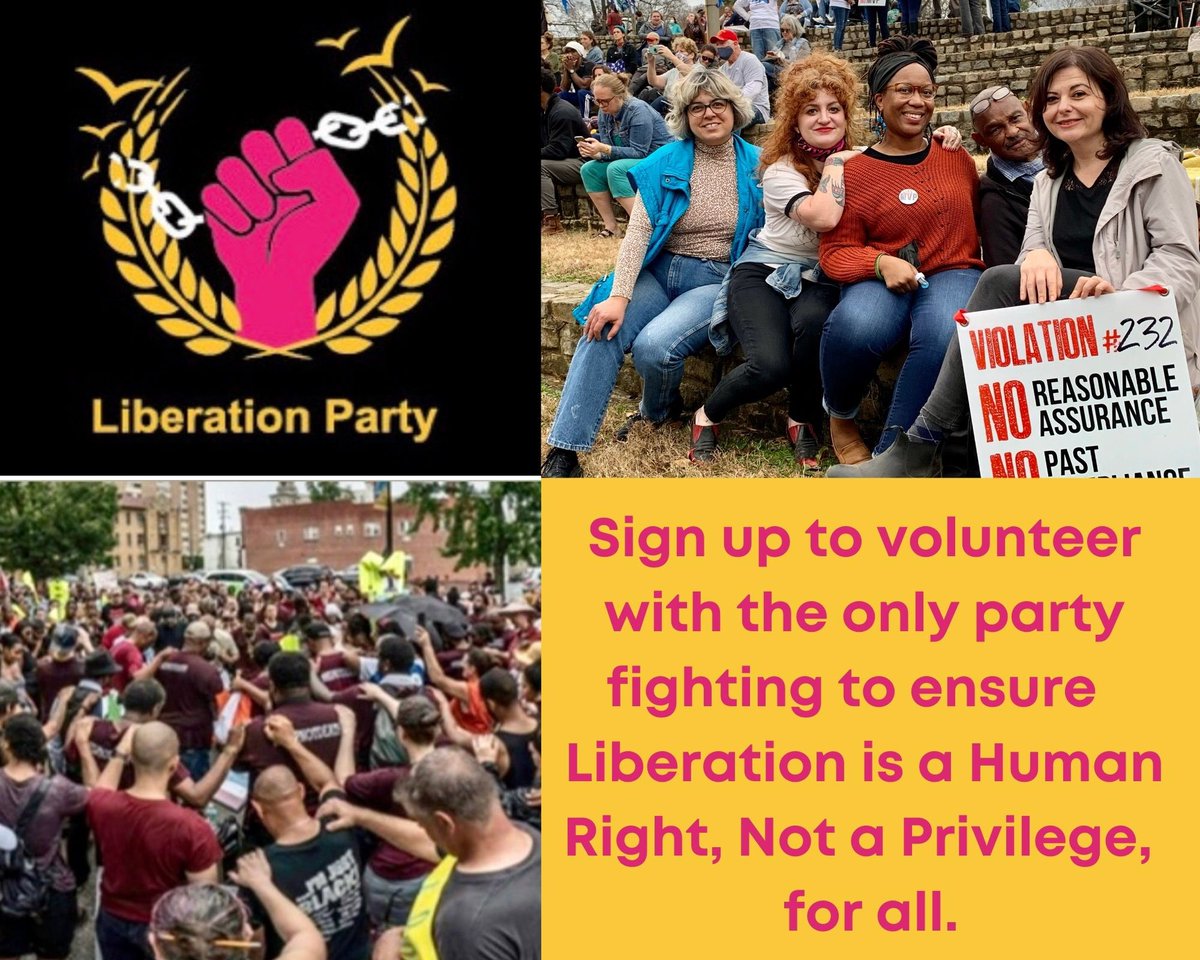 We the people have a lot of power when we unite. Sign up today to volunteer with the Liberation Party ✊🏽❤️✊🏽. bitly.ws/oD42