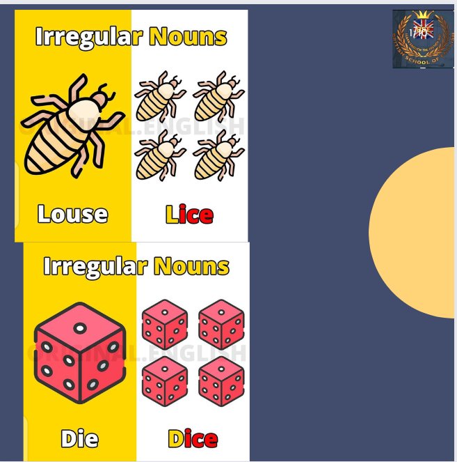 BritishschoolO2's tweet photo. Irregular Plurals https://t.co/dBugX8zjEj