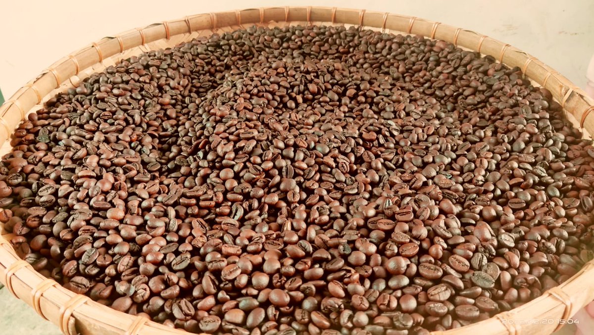 kadusbro's tweet photo. Jual kopi robusta wine 245k/kg @ekspedisikompas @disperindagjtg @UMKMJateng @kopipekalongan https://t.co/tqqYlEWP5R https://t.co/C1F9YZchX2