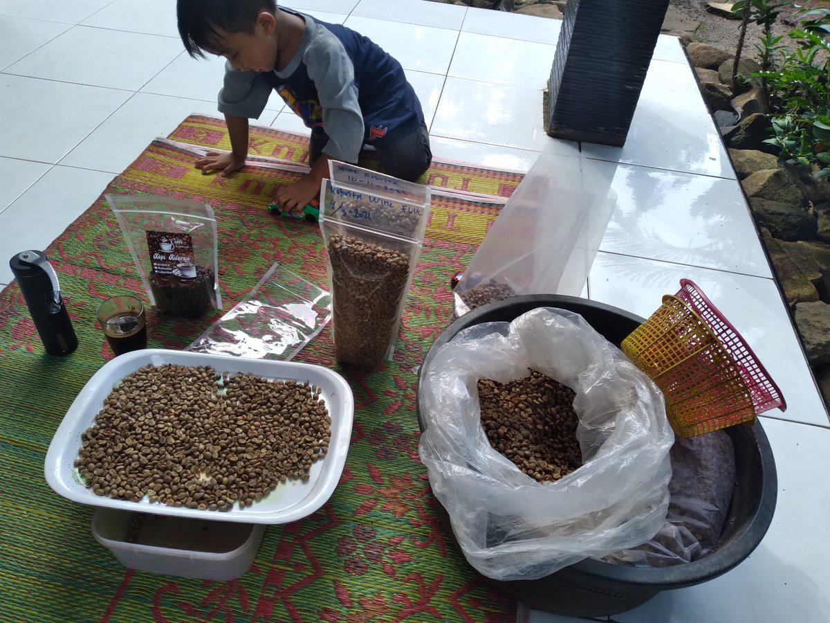 kadusbro's tweet photo. Jual kopi robusta wine 245k/kg @ekspedisikompas @disperindagjtg @UMKMJateng @kopipekalongan https://t.co/tqqYlEWP5R https://t.co/C1F9YZchX2