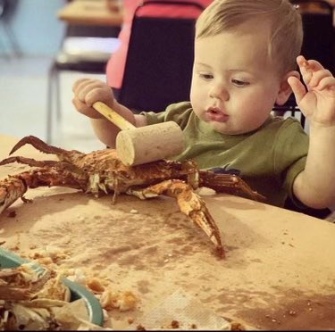 CaptainPells's tweet image. .
.
.
#foodnetwork #eaterdc #yelpnova #crabs #seafood #presidentsday #daytona500 #allcaps #kpop #bts #tmz #potus #ukraine #covid_19 #sportscenter #uncharted #kimkardashian #petedavidson #chesapeakebay #wjfkradio #hypefoodies #tiktok #dmvfoodie #trending