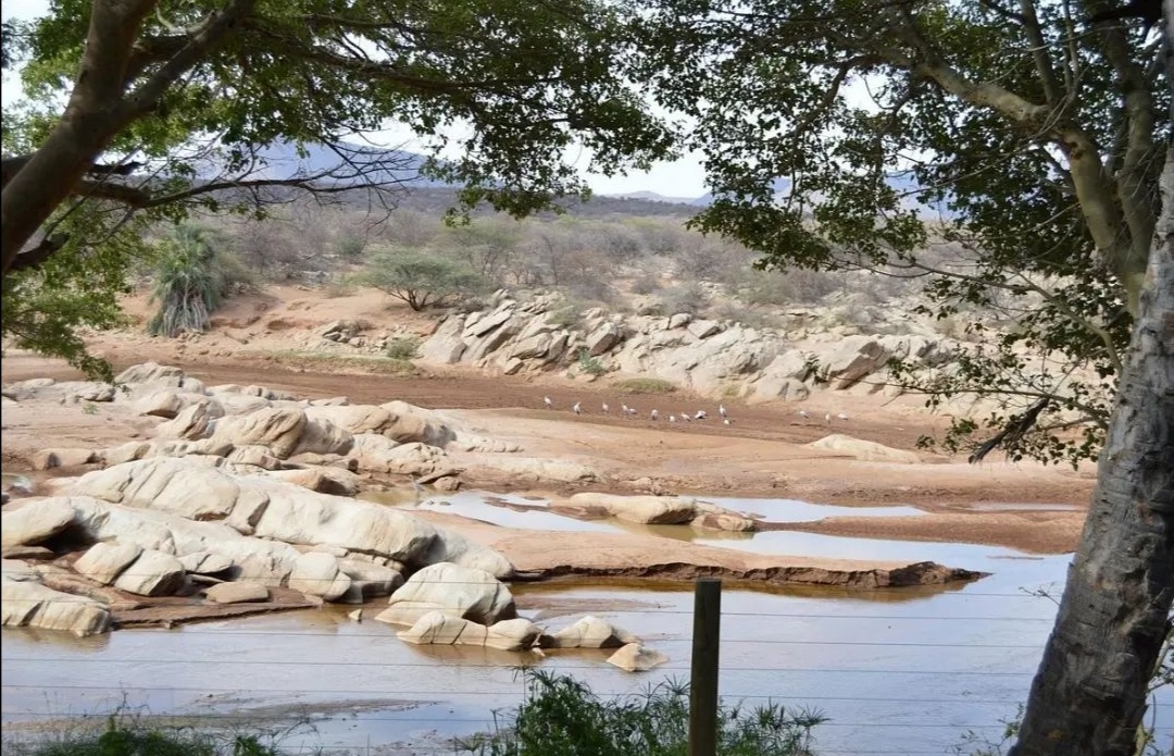 BeshAdventures's tweet photo. a weekend getaway to Samburu Sarova Shaba resort. from Ksh 55,900 per person sharing for 2 days flying safari .niclusive of game drives, return flights, Accommodation, and meals. #lowerfoodprices #Maureen #Frankie https://t.co/wIjpZ6y3uS