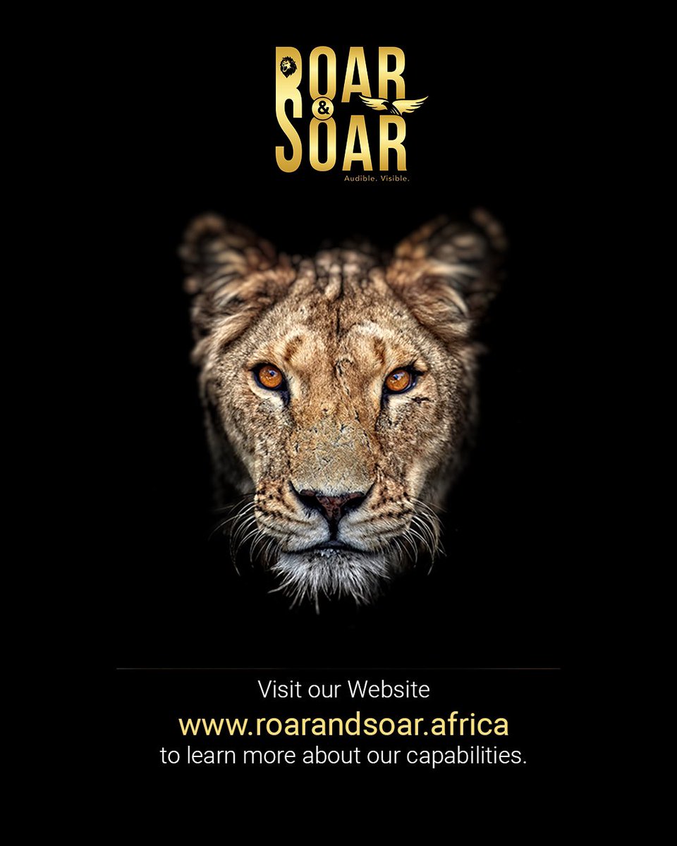 Get to know more about us: roarandsoar.africa
#DigitalMarketingServices #copywriting #lodebar #comebackkid