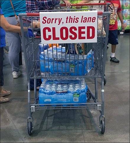 CHIditarod tweet media