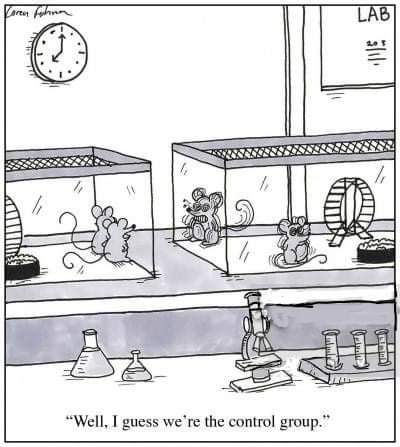 To what group do you belong?