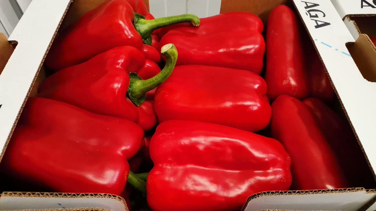 FrutasMora's tweet photo. Excelentes pimientos los que estamos descargando para mañana, lunes, ¿te los vas a perder?

#verduras #pimiento #pimientoasarrojo #pimientofreir #sevilla #HORECA https://t.co/T47WQVIhTm