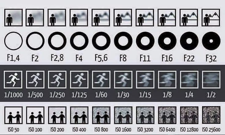 yksirinkan's tweet photo. Fotoğrafın teknik tarafında enstantane, diyafram ve ıso bileşenlerini uygun bir şekilde kullanma bilgisi vardır. Bu öğeleri gerektiği gibi kullanarak fotoğrafın teknik yönünü halledebilirsiniz. #fotoğrafnotlarım https://t.co/o6Z5PwTu5u