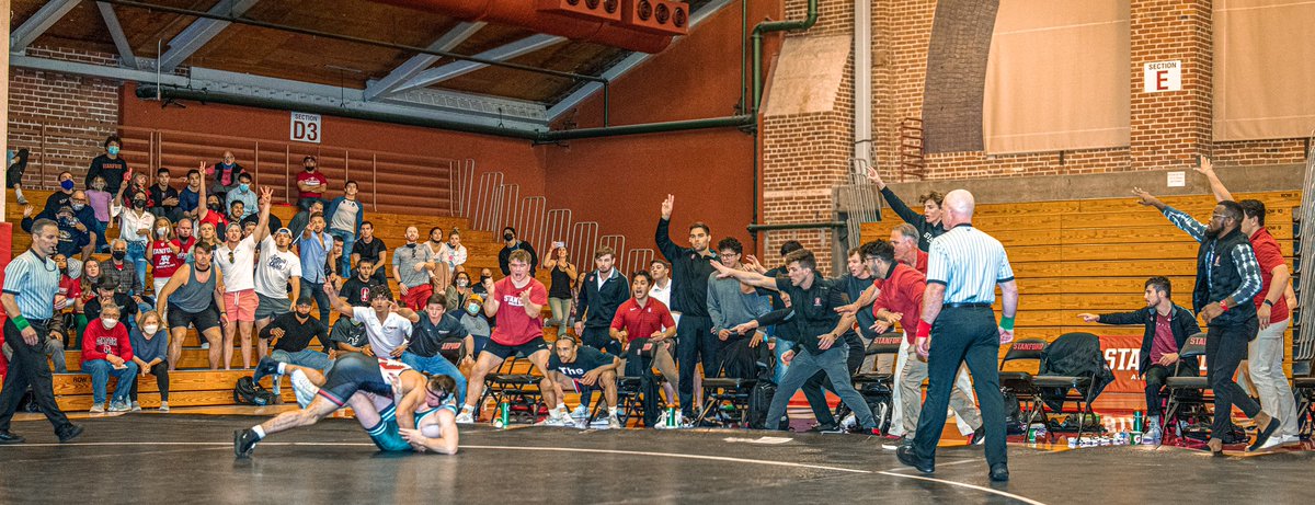 Tony Rotundo tweet media