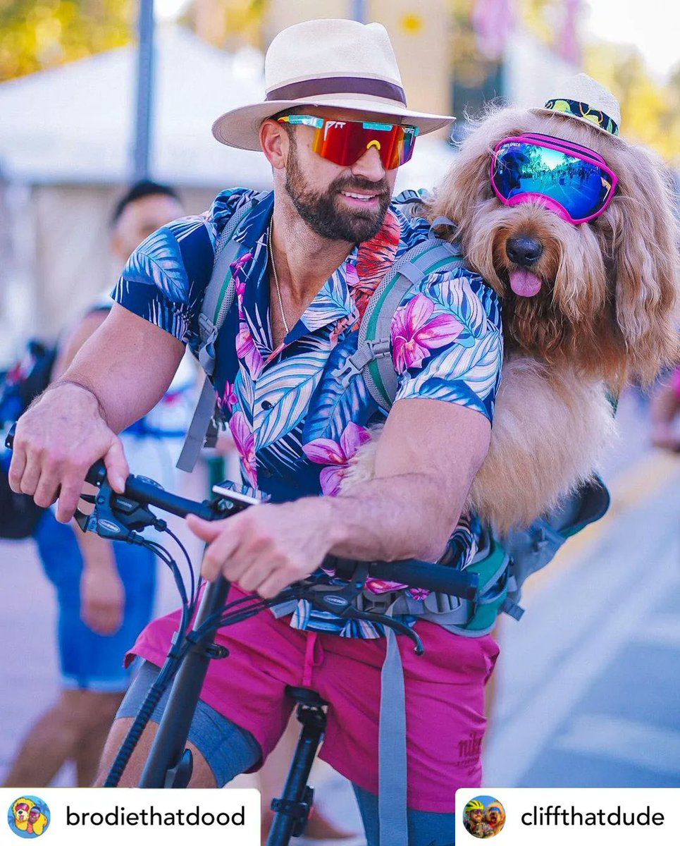 PopShorts's tweet photo. Happy National Love Your Pet Day! For our #CreatorHighlight this week, we are focusing on the dynamic duo themselves @brodiethatdood and @cliffthatdude. Brodie is a golden doodle who travels the world with his owner Cliff Brush Jr.
#Pet #Brodie #Loveyourpetday #dog https://t.co/GNqNUUfbGg