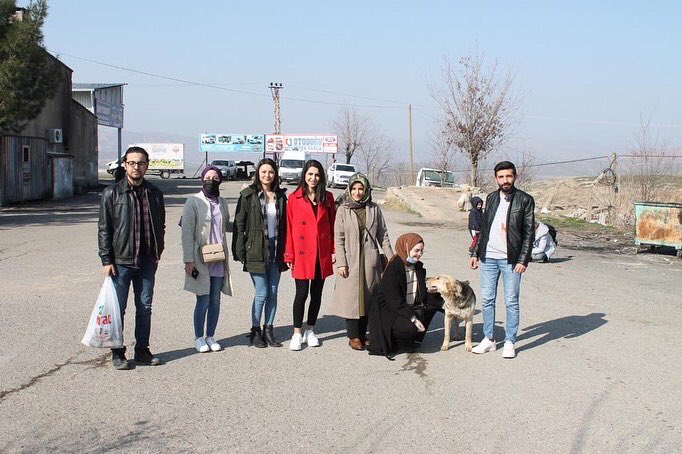 SiirtBarosu's tweet photo. Türkiye genelinde eş zamanlı olarak tüm Baroların katılımıyla gerçekleştirilen Sokak Hayvanlarını Besleme Etkinliği, Siirt Barosu Hayvan Hakları Komisyonu tarafından organize edilip sokak hayvanlarına mama dağıtıldı. https://t.co/eLjABKwL5n