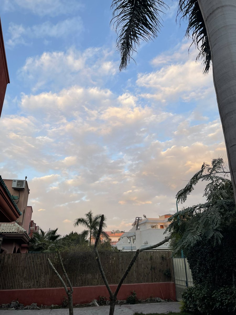 Soha Serry tweet media