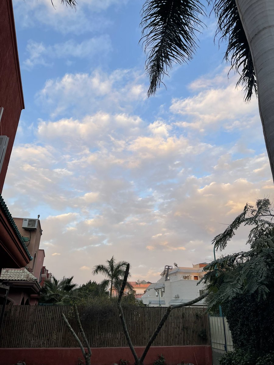 Soha Serry tweet media